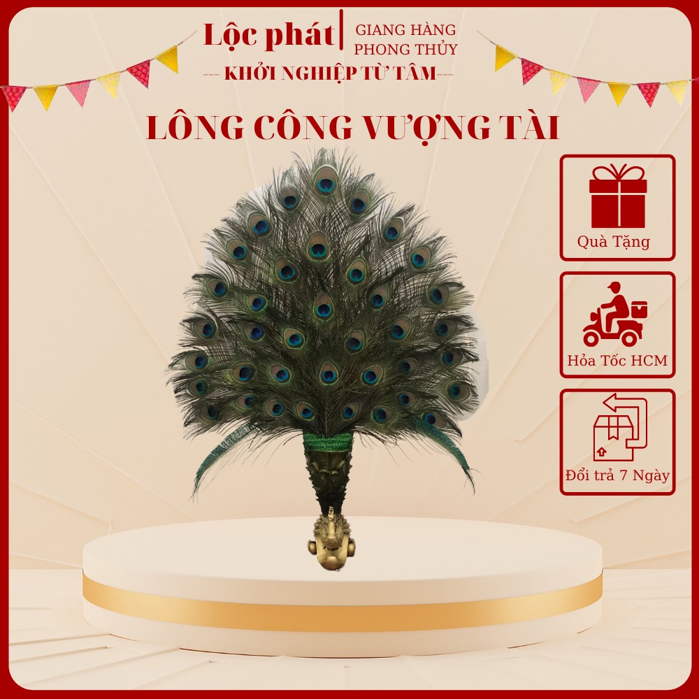 COMBO 10 lông công tự nhiên phong thủy Lộc phát dài 80-90cm