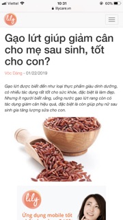 GIẢM CÂN BỘT GẠO LỨT 4T