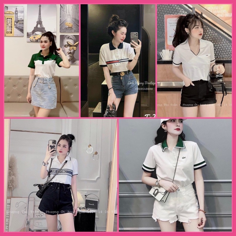 Áo phông polo nữ hot hit 2022( 5 mẫu áo phông có cổ nữ )