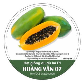 [CHỈ SỢ HỎNG CÂN] Hạt giống đu đủ lai F1 HOÀNG VÂN 07 (3 hạt)