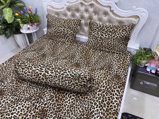 Drap thun lạnh cao cấp