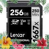 songlam1921 Thẻ nhớ SDXC Lexar 256GB UHS-II 1667X 250MB/s
