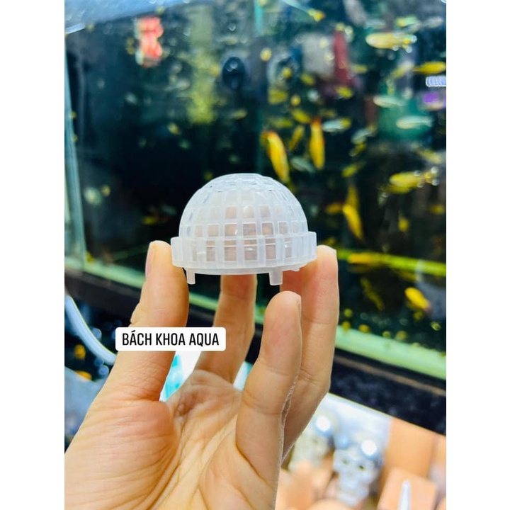 Giá thể cầu nhựa gắn cây