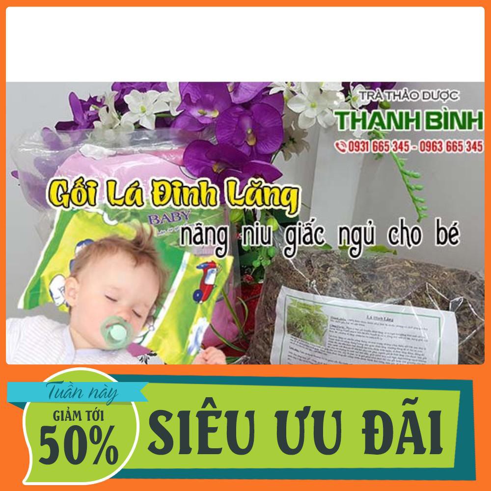 Gối Lá Đinh Lăng Cao Cấp - Cho Giấc Ngủ Của Bé - Cây Thuốc Nam