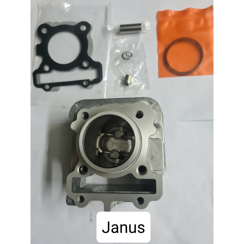 Bộ lòng  xe Janus