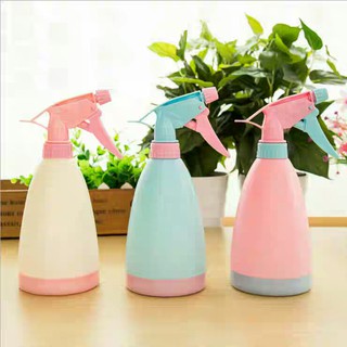Bình tưới cây cảnh Mini