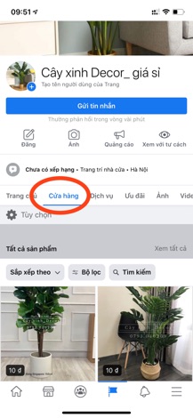 Cây Hạnh Phúc tặng giỏ cói cao cấp