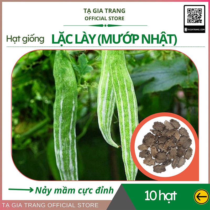 Hạt giống mướp nhật (lặc lày, lặc lè) chuẩn F1 - Shop hạt giống Tạ Gia Trang