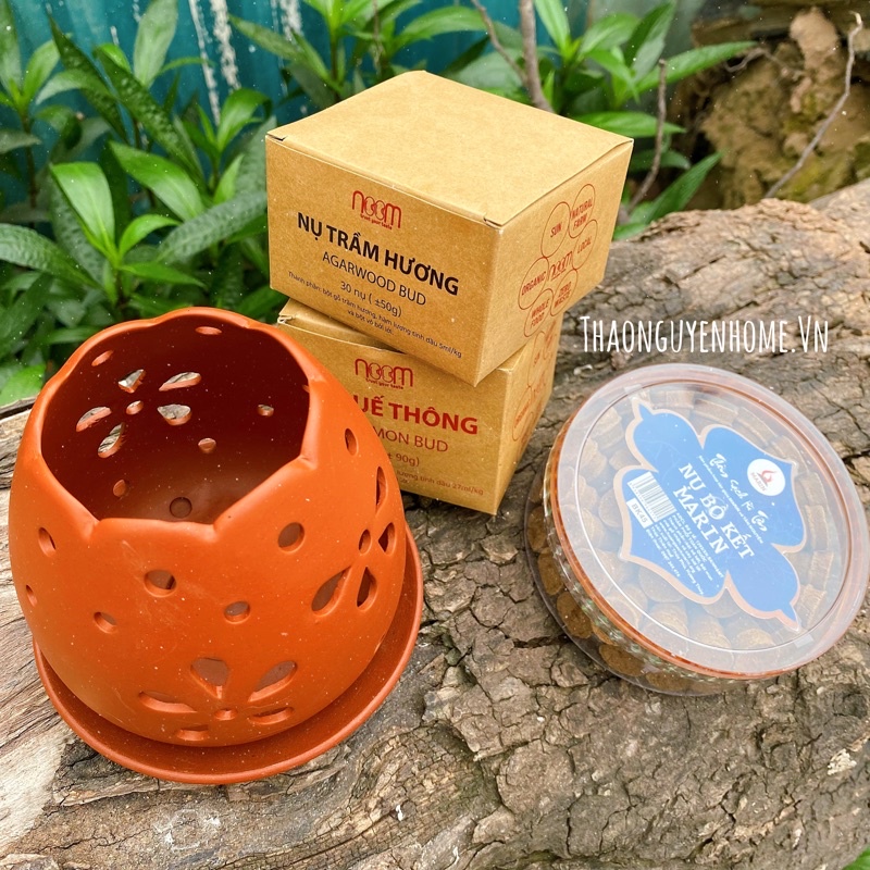 Nụ trầm hương / bồ kết / quế thông / bài