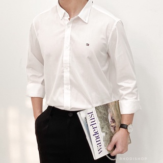 Somi tommy trơn rhodi
