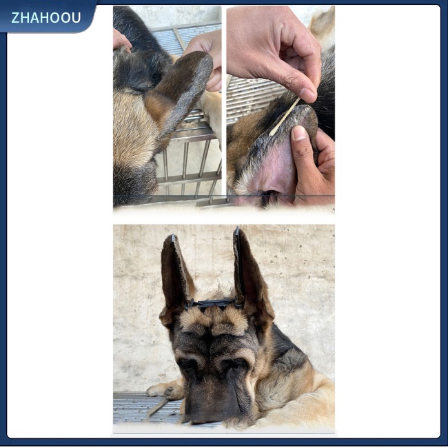 ☃Nhà☃ Giá Đỡ Cố Định Tai Chó Đứng Bằng Nhựa Resin Độ Chính Xác Cao Hỗ Trợ Chỉnh Sửa Lỗ Tai Cho