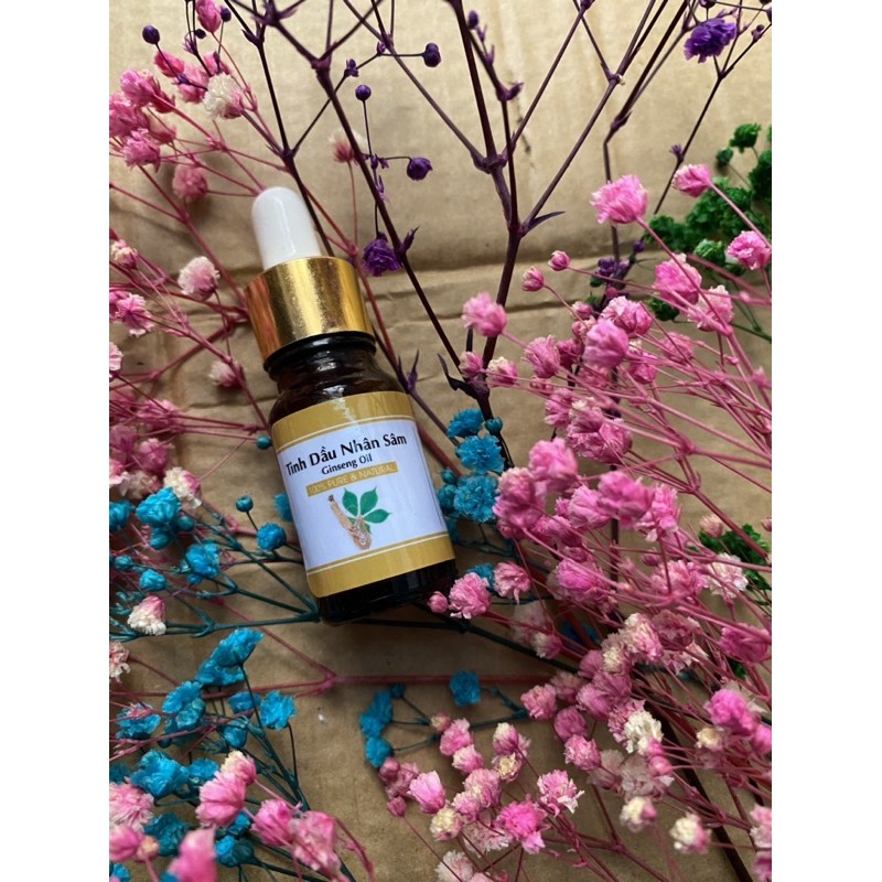 Set 5 chai tinh dầu Sâm Ginseng (10ml/chai)