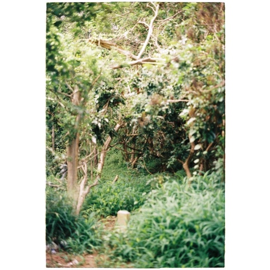 - Film 135  giá rẻ, 24 kiểu, hàng US