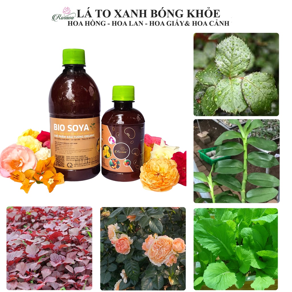 Phân bón đậu tương hữu cơ vi sinh Rosava cho hoa hồng, cây cảnh, hoa giấy, lan, sen đá, phân đậu nành