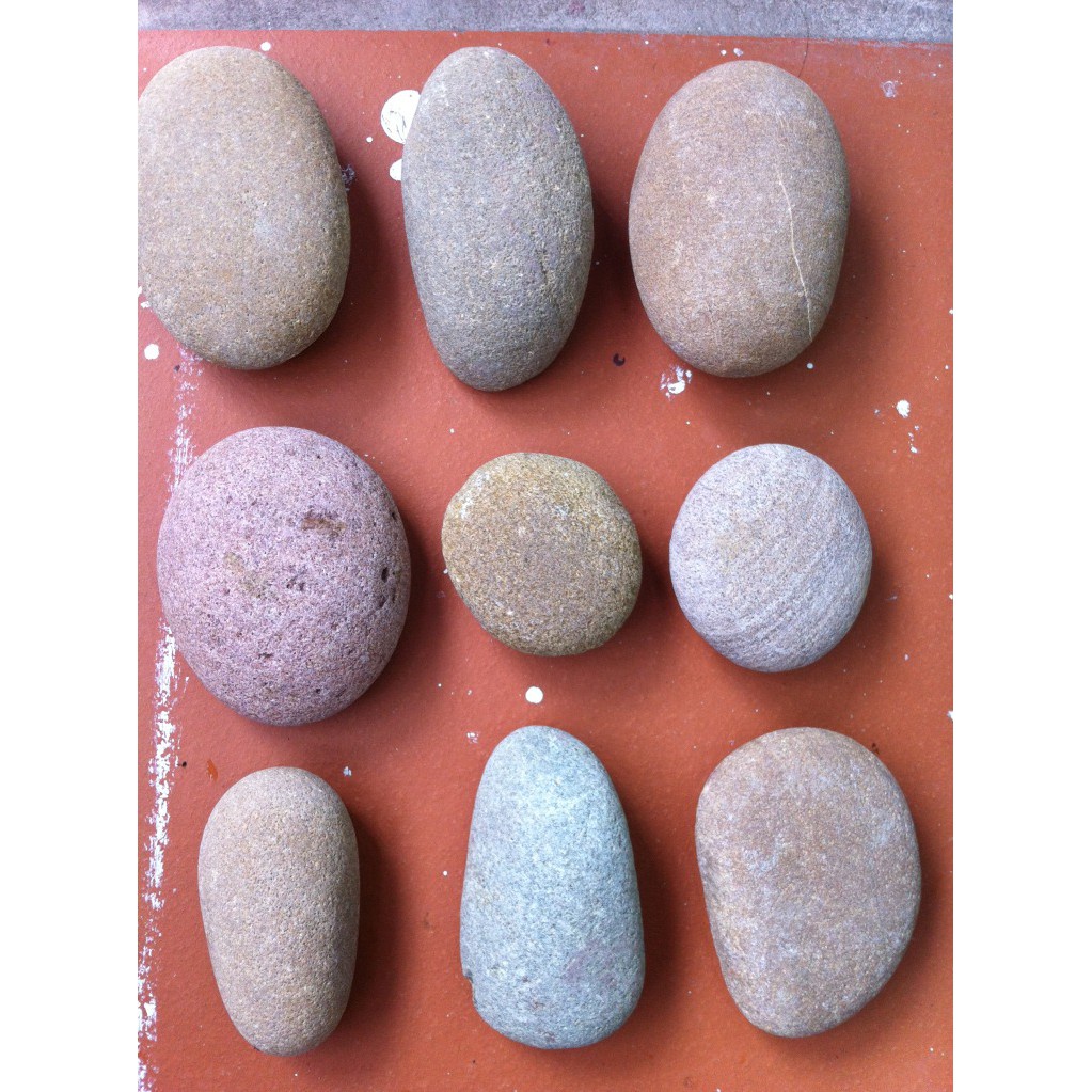 Đá Kì Tắm Tự Nhiên Dài Kỳ Lưng Dài, Đá khô Cuội Tắm Tẩy Da Chết | BigBuy360 - bigbuy360.vn