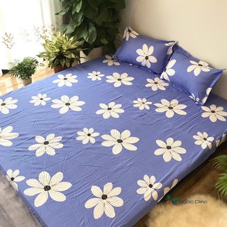 Ga gối cotton poly hoa bèo m6 / m8