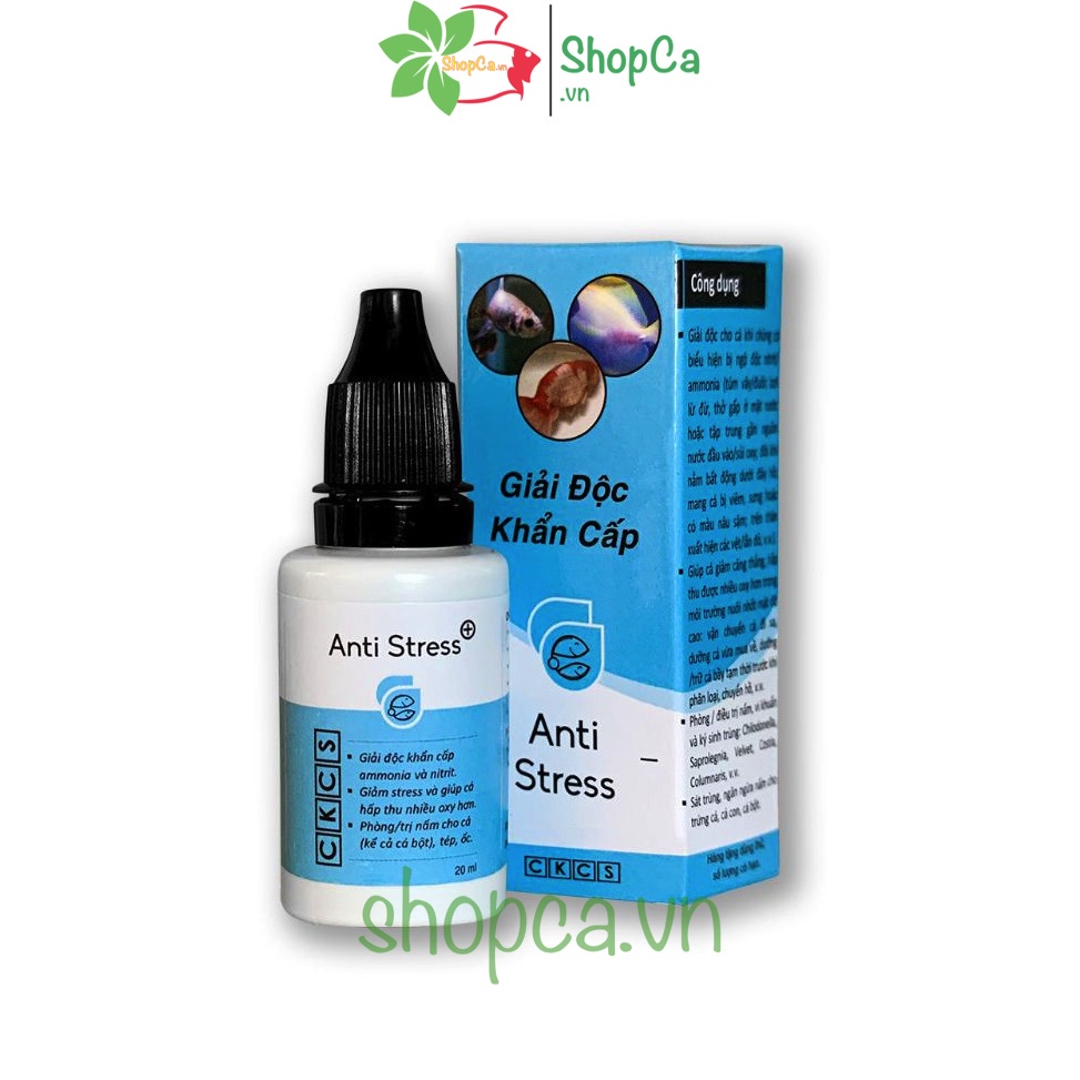 Anti stress giảm stress, giải độc khẩn cấp cho hồ cá