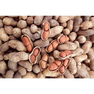 500g ĐẬU PHỘNG SỐNG