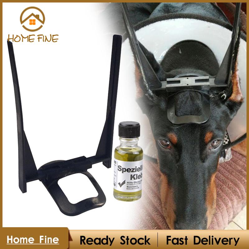 Giá Đỡ Tai Chó Chihuahua Chuyên Dụng Chất Lượng