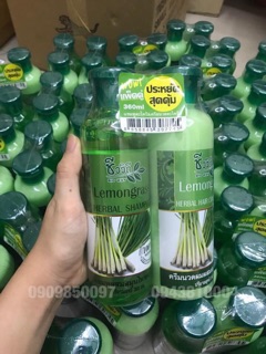 dầu gội trị rụng tóc thảo dược thái lan