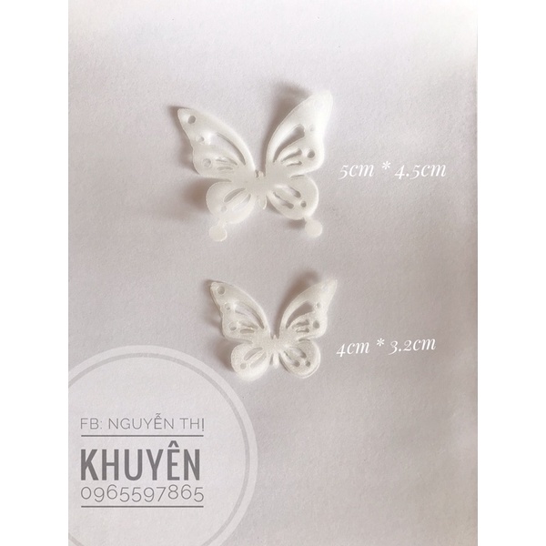 Cánh voan hình b ướm đục lỗ
