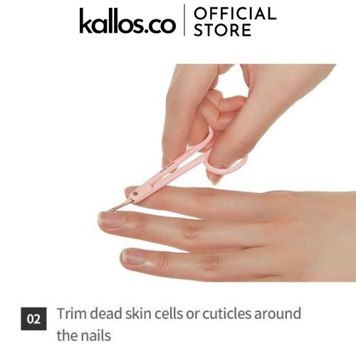 Dao Cạo Chân Mày Etude House My Beauty Tool Eyebrow Razor, Brow Sharpener, Scissors, Brow Band - Kallos Vietnam