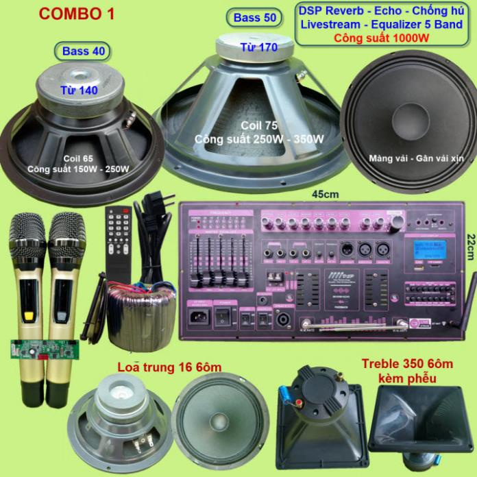 Mạch loa kéo 3 loa công suất thực 1000W DSP Reverb Echo Livestream có chống hú - Equalizer 5 Band kèm 2 tay micro