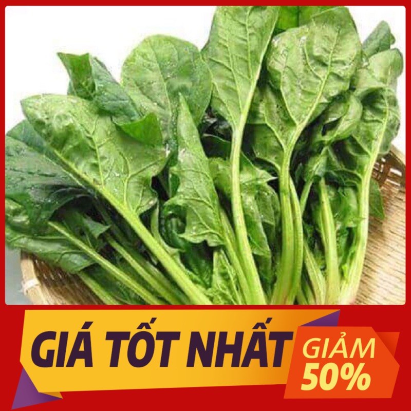 hạt giống cây rau cải bó xôi chịu nhiệt lai (rau bina, rau chân vịt) - 20Gr