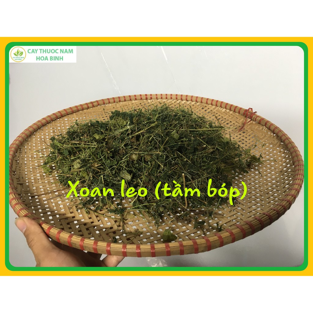 500g cây xoan leo khô (tầm bốp, tam phỏng) trị rôm sẩy mẩn ngứa