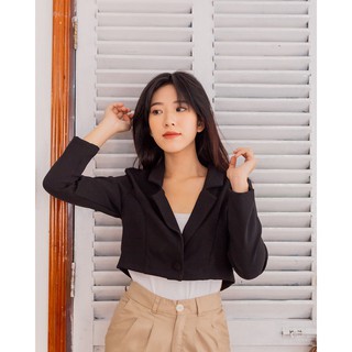 [Mã BMTTC60K giảm đến 60K đơn 50K] Áo Vest Croptop Tay Dài - LEO's clothing