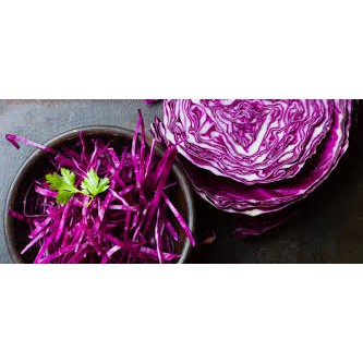hạt giống bắp cải tím