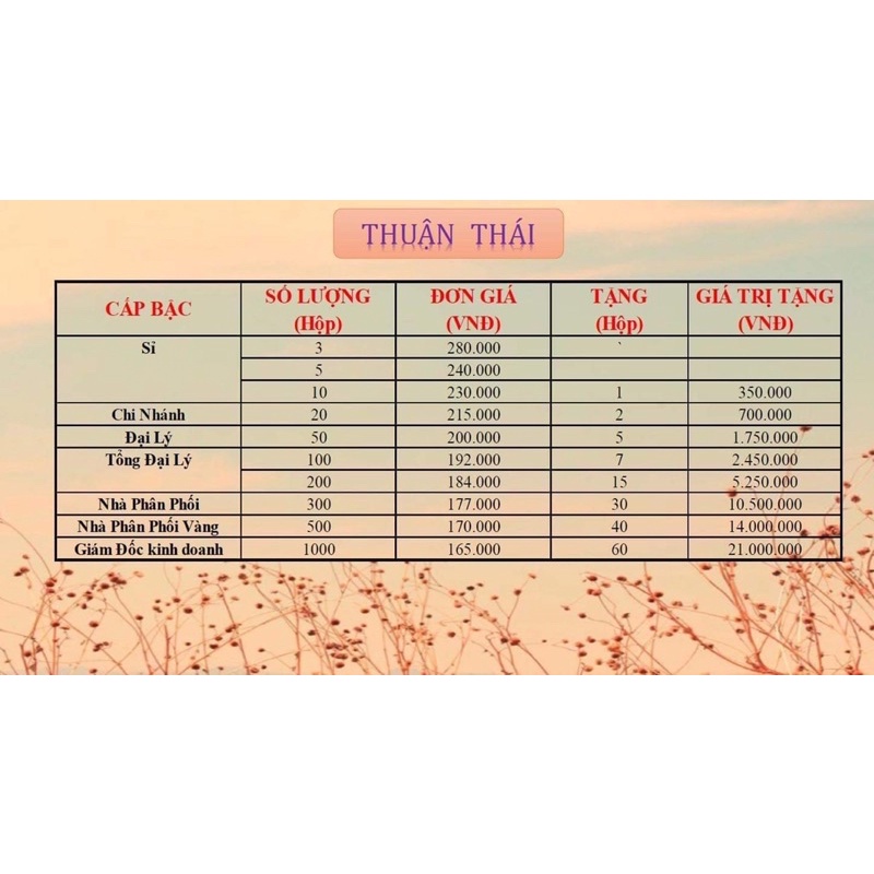 BỘT THIÊN NHIÊN GIẢM CÂN / THUẬN THÁI