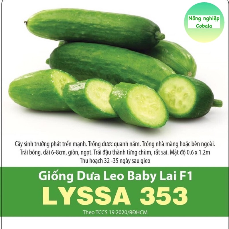 Hạt Giống Dưa Leo Baby (LYSSA353) Sai Trái 5 Hạt