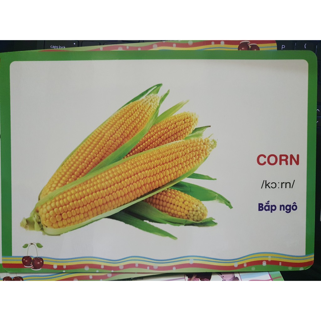 Flashcard Bé Học Từ Vựng Theo Tranh: Rau củ quả + Hình Dạng Màu Sắc ( Lẻ Tùy Chọn )