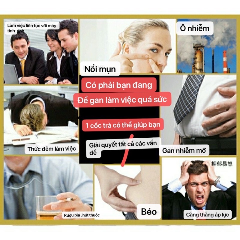 Trà Dưỡng Sinh Mát Gan Giải Độc Giảm Mỡ Thanh Lọc Cơ Thể Hộp 60 gói