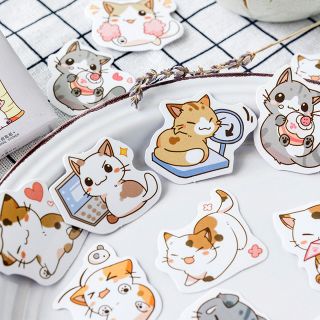 Hộp 45 sticker dán hình mèo dễ thương