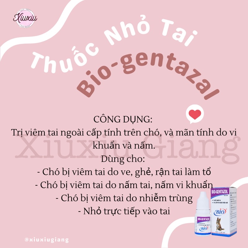 Nhỏ Tai Bio-Gentazal Cho Chó - Xiuxiu Giang