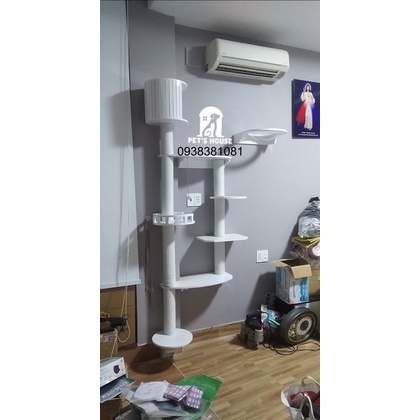 Cat tree gắn tường
