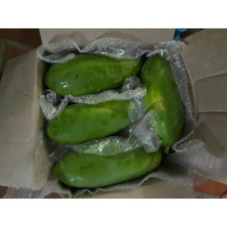 Quả đu đủ xanh -2kg/sản phẩm