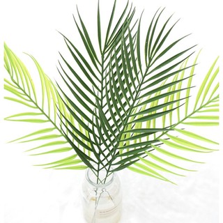 (Sẵn) Lá dừa cảnh decor