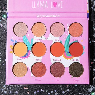 Bảng Phấn Mắt 12 Ô Màu Siêu Xinh Davioo eye shadows palette