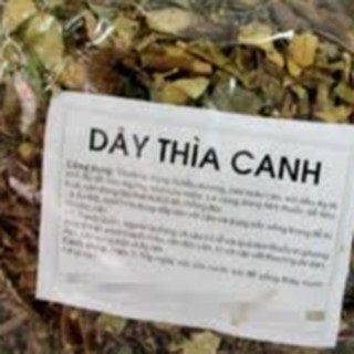 1 Kg Dây Thìa Canh khô đẹp.