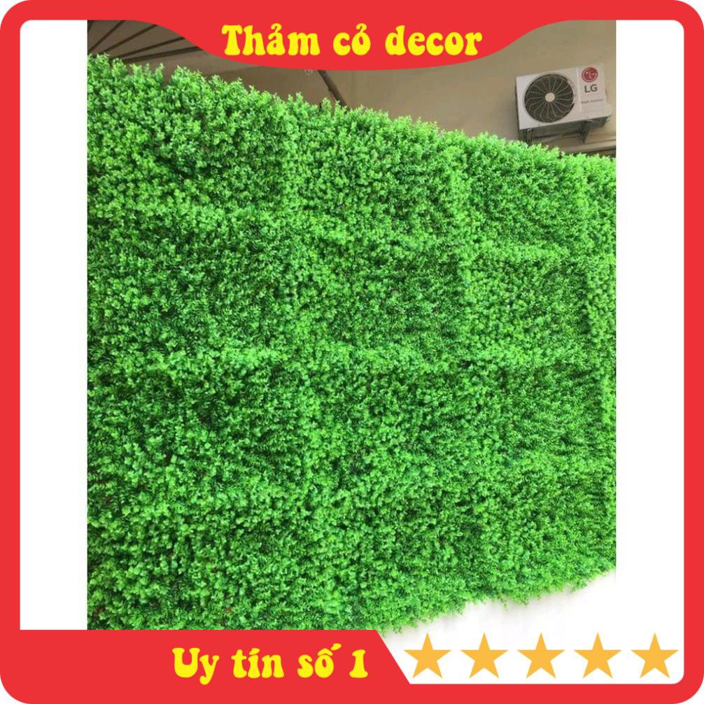 Cỏ Tai Chuột, thảm cỏ nhân tạo, nhựa giả size 60*40cm, decor, trang trí tường nhà, văn phòng, nhà hàng, sự kiện