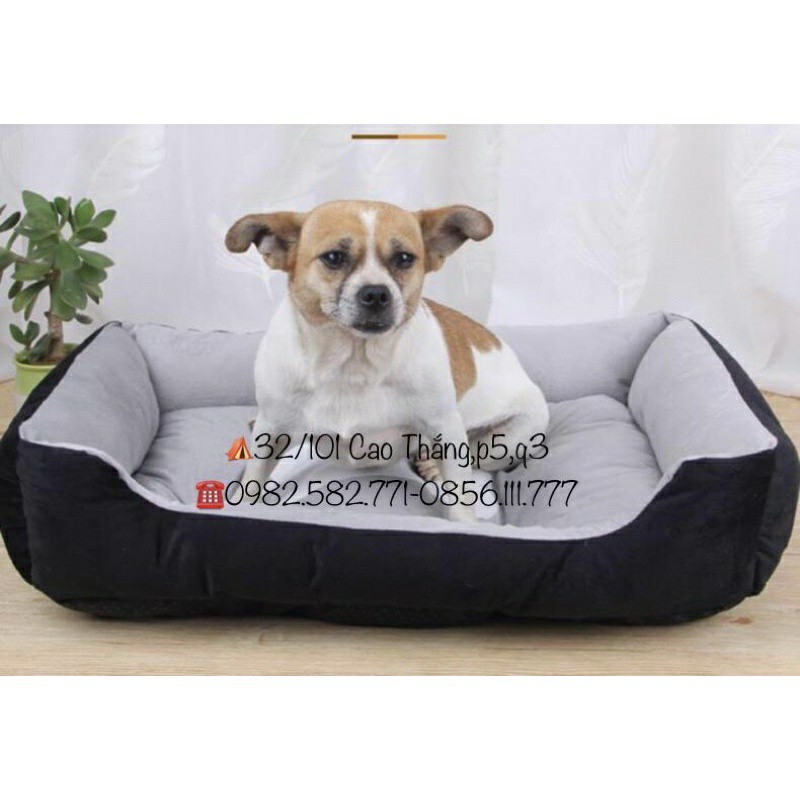 nệm ngủ cho thú cưng hình chữ nhật giá rẻ