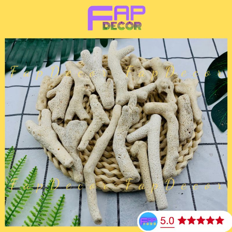 San Hô Lọc Nước Hồ Cá, San Hô Tăng Độ PH Trong Nước Cho Bể Cá - FapFood