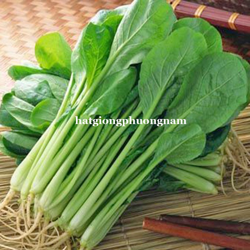 10GR - HẠT GIỐNG CẢI NGỌT