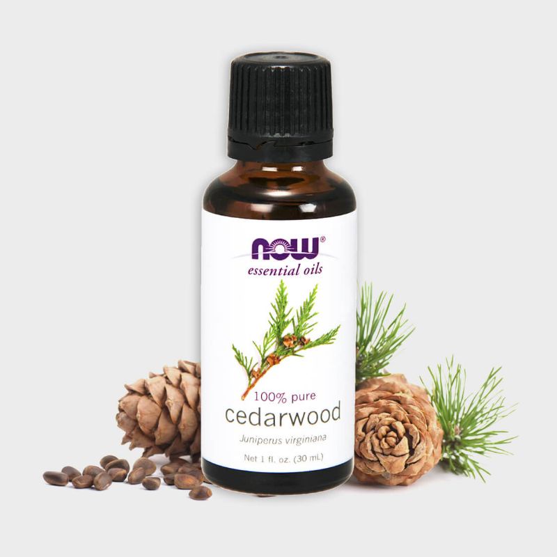 Tinh Dầu Gỗ Cây Tuyết Tùng (Hoàng Đàn) Now Foods Essential Oils Cedarwood 30ml