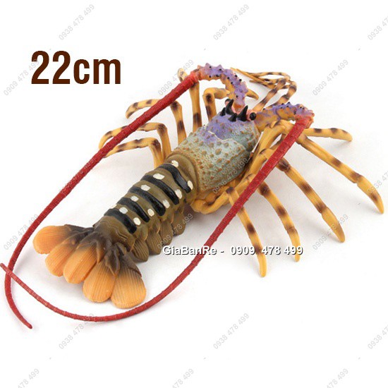 Mô Hình Tôm Càng Tôm Hùm Lobster - 22cm - 7676.4