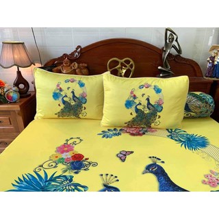 drap thun Ý 5D  siêu lạnh