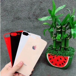 Cường Lực mặt lưng giả iphone 8 iPhone 6/6plus/7/7plus/8/8plus/X